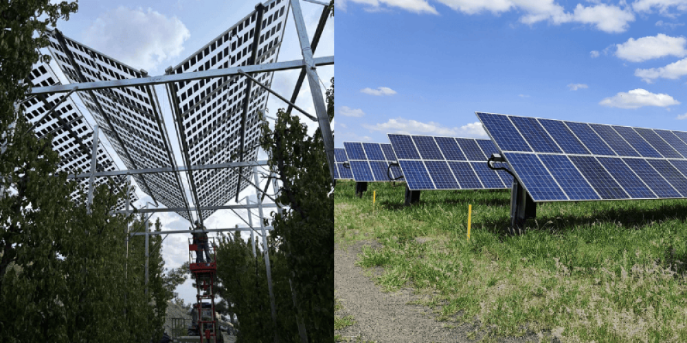 agri-pv-application-brite-solar-blog-12-fvML1.png