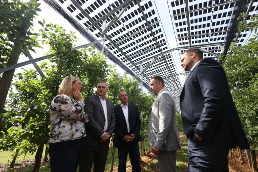 agri-pv-pilot-project-in-slovenia-brite-solar-panels-above-apple-orchard-4WwwY.jpeg