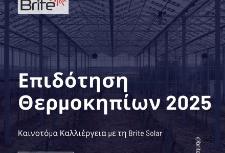 Καλλιέργεια και παραγωγή ενέργειας στο ίδιο θερμοκήπιο με τα πάνελ της Brite Solar.
