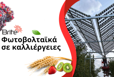 Αγροφωτοβολταϊκά στο χωράφι: προστασία καλλιέργειας και ενέργεια από τον ήλιο
