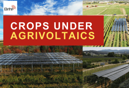 Agrivoltaics and crops with dual -use land benefits