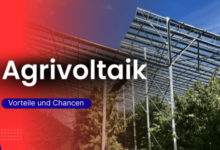 Agri-Photovoltaik ermöglicht die gleichzeitige Nutzung landwirtschaftlicher Flächen für Kulturen und Solarenergie