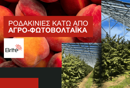 Φωτοβολταϊκά στο χωράφι στην Ημαθία από την Brite Solar, έργο SolarHub για βιώσιμη γεωργία