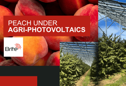 Photovoltaics in the fields of Europe by Brite Solar, SolarHub project for sustainable agriculture