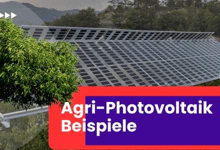 Agri Photovoltaik Beispiele Deutschland zeigen, wie landwirtschaftliche Flächen effizient doppelt genutzt werden können