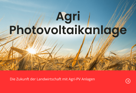 Halbtransparentes Solarglas ermöglicht gleichzeitig Pflanzenwachstum und Solarstromproduktion.