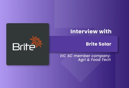 Brite Solar Agri-PV greenhouse installation for crop protection