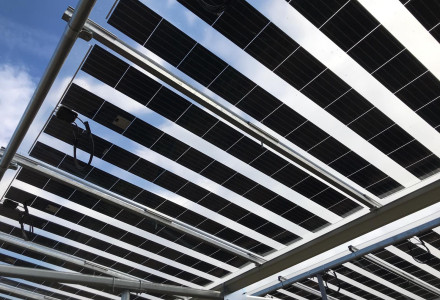 Brite Solar’s semi-transparent agrivoltaic panels with 50% light transmittance installed over open-field crops.