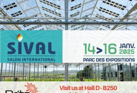 Visit Brite Solar at Sival Expo 2025, Booth B250 – Hall D, and explore how our semi-transparent solar panels are transforming agriculture.