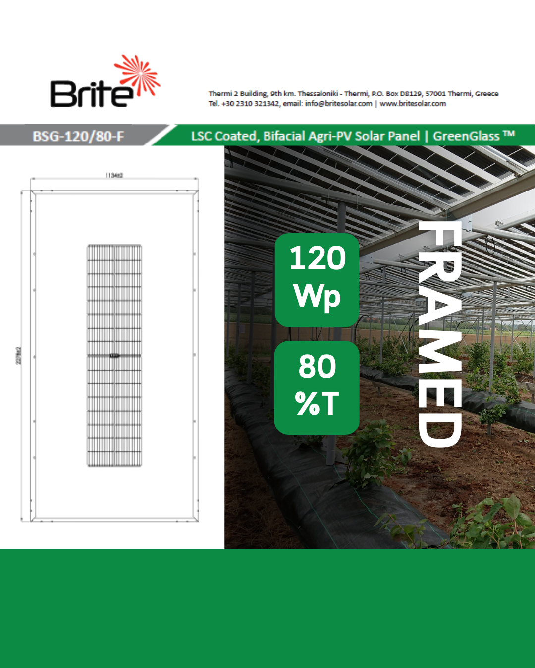 Technical datasheet for the BSG-330_40-F agrivoltaic panel by Brite Solar.