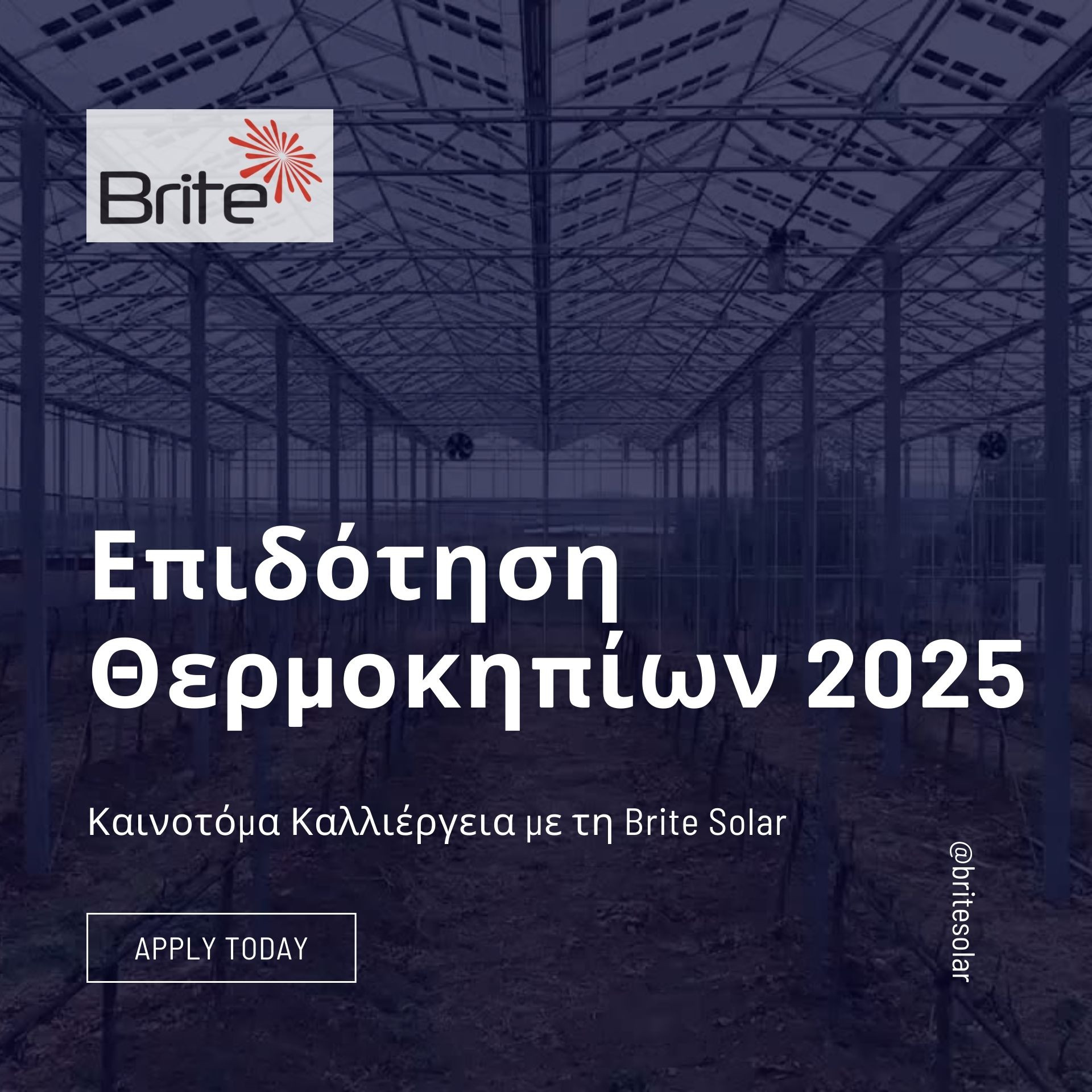 Καλλιέργεια και παραγωγή ενέργειας στο ίδιο θερμοκήπιο με τα πάνελ της Brite Solar.