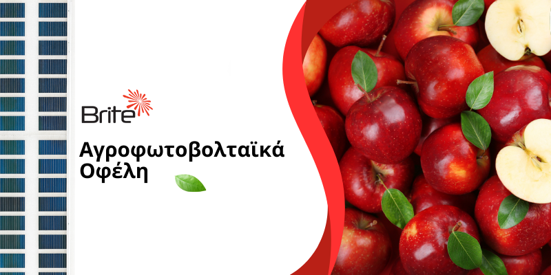 Τα αγροφωτοβολταϊκά προσφέρουν διπλή χρήση γης, προστασία καλλιέργειας και μείωση κόστους ενέργειας.