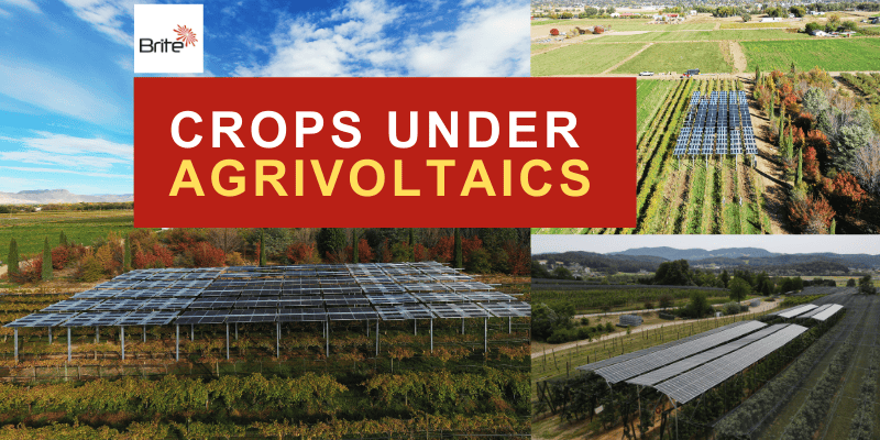 Agrivoltaics and crops with dual -use land benefits