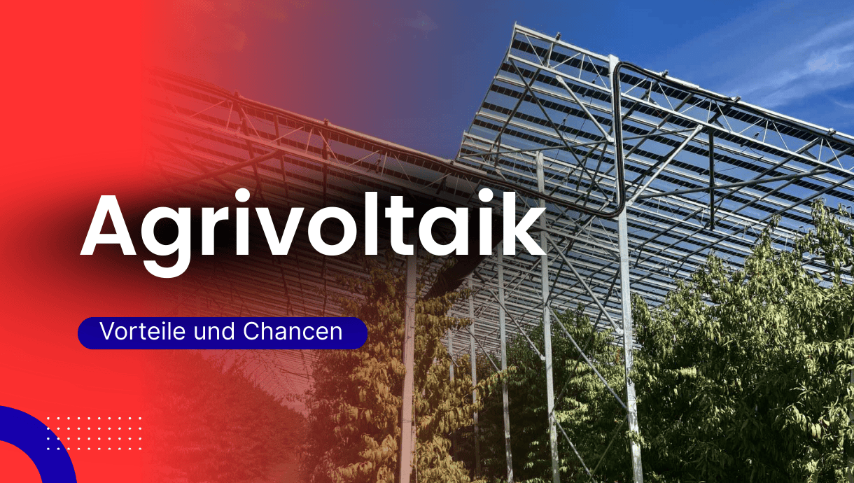Agri-Photovoltaik ermöglicht die gleichzeitige Nutzung landwirtschaftlicher Flächen für Kulturen und Solarenergie