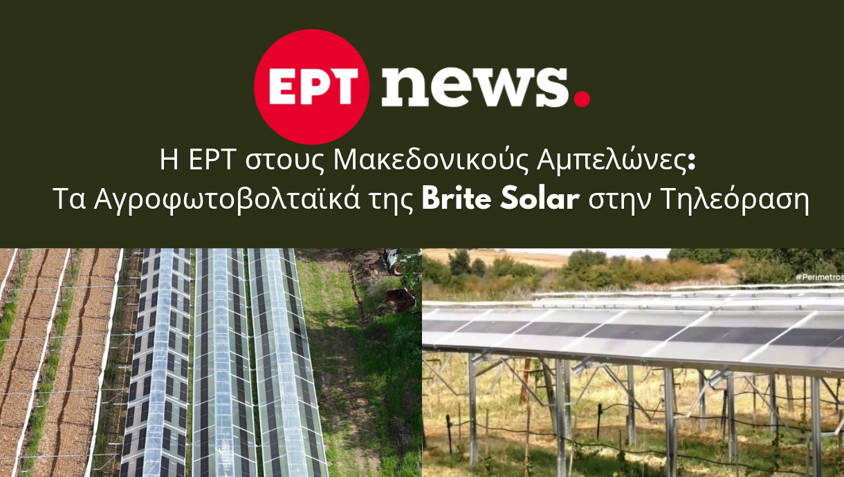 Η ΕΡΤ3 στους Μακεδονικούς Αμπελώνες — Αγροφωτοβολταϊκά Brite Solar