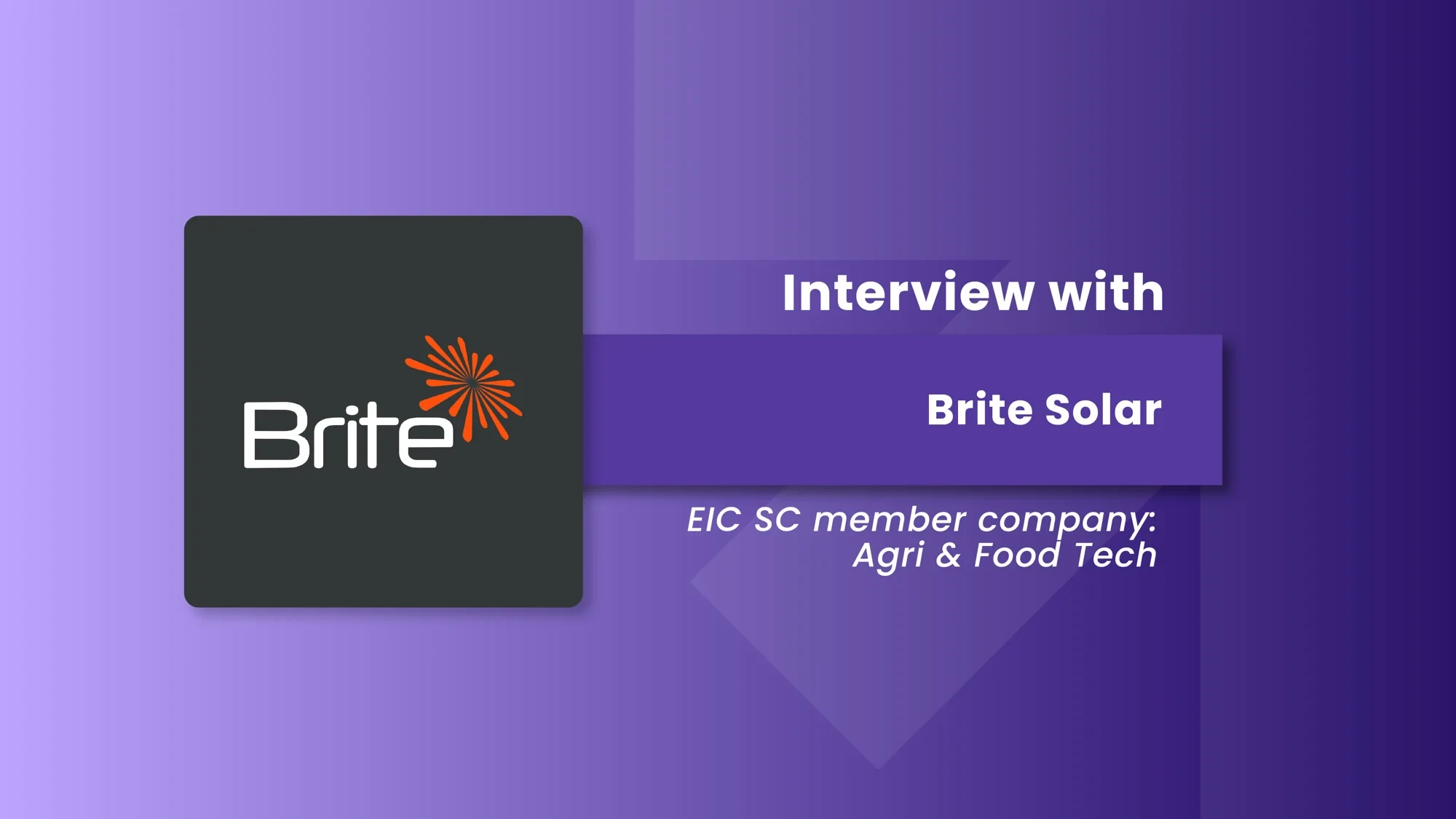 Brite Solar Agri-PV greenhouse installation for crop protection