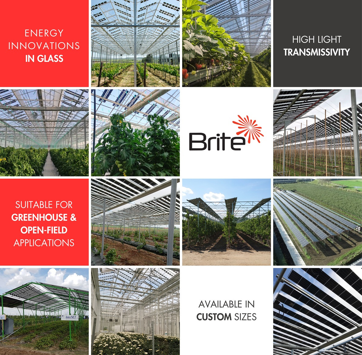 Brite Solar’s nanotechnology-based solar panel inside a modern greenhouse, delivering dual benefits for crops and clean energy.